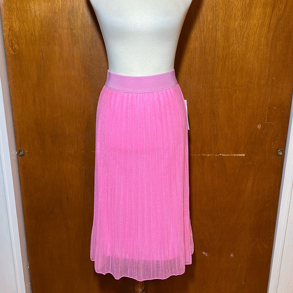 Pink Tulle Midi Skirt